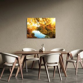 Tablou pe sticlă - Copac de toamnă (70x50 cm)