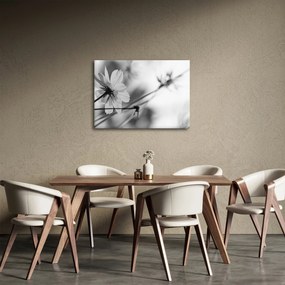 Tablou - Flori alb-negru (70x50 cm)