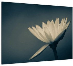 Tablou cu flori (70x50 cm)