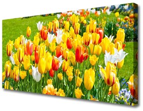 Tablou pe panza canvas Lalele Floral Galben Roșu Alb