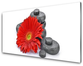 Tablouri acrilice Pietrele florale flori Roșu Gri