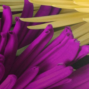 Tablou - detailu cu flori (120x50 cm)
