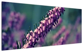 Tablou cu floare violetă (120x50 cm), în 40 de alte dimensiuni noi