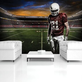 Fototapet - Stadionul american de fotbal (152,5x104 cm)