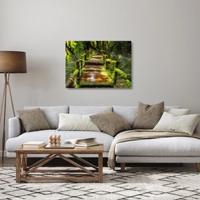 Tablou pe sticlă cu scări într-o pădure tropicală (70x50 cm)