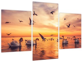 Tablou - Lebedă (90x60 cm)