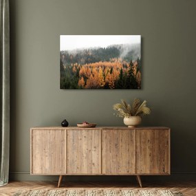 Tablou - Pădure toamna (90x60 cm)