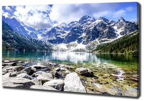 Tablou pe pânză Marine ochi tatry