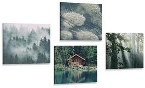 Set tablouri frumusețile naturale