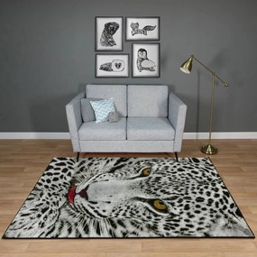 Covor Kolibri Leopard 11122