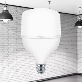 Bec LED 30W(200W) Braytron, E27, 3000 lm, lumina neutra (4000K), clasa energetica F
