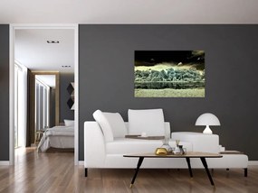 Tablou suprafeței de apă (90x60 cm)