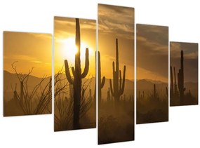 Tablou - Cactuși Saguaro (150x105 cm)