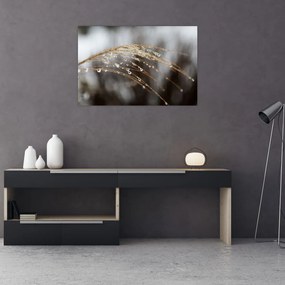 Tablou - Picături pe plantă (90x60 cm)