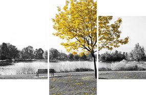 Tablou - relaxare în parc (90x60 cm)