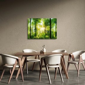 Tablou pe sticlă - Răsărit în pădure (70x50 cm)