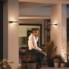 Philips 17336/47/PN - Corp de iluminat perete exterior MYGARDEN CHIPMUNK E27/42W