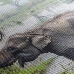 Tablou - Elefant de scăldat (150x105 cm)