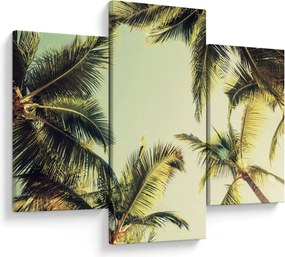 Tablou - Palmieri de cocos (90x60 cm)