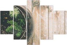 Tablou - Terariu de sticlă (150x105 cm)