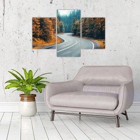 Tablou - Drumul cu serpentine (90x60 cm)