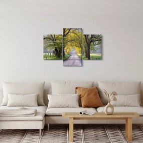 Tablou - Smoky Mountains, Gatlinburg, SUA (90x60 cm)