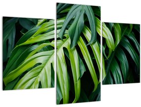 Tablou - Frunze tropicale (90x60 cm)