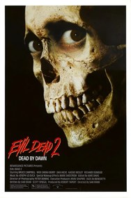 Ilustrație Evil Dead 2