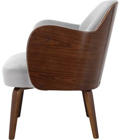 Fotoliu gri cu tapițerie din catifea Haruko - Støraa