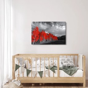 Tablou - Copaci în culorile toamnei (90x60 cm)