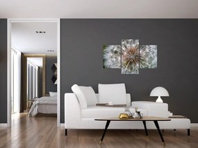 Tablou cu păpădie (90x60 cm)