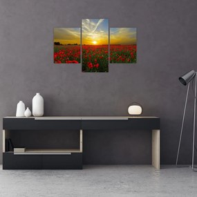 Tablou cu câmp cu maci (90x60 cm)