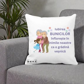 Cadou pentru Bunici - Perna Personalizata Bunicii Iubirea Infloreste Bunici cu Nepoata Colorat, 40x40 cm, Alba Mata, Husa Detasabila, Perna Inclusa, BEKZ®