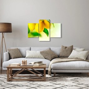Tablou cu lămâi (90x60 cm)