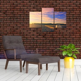 Tablou - Mașină galbenă ăn câmp (90x60 cm)