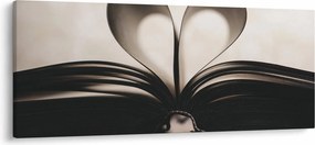 Tablou cu carte (120x50 cm)