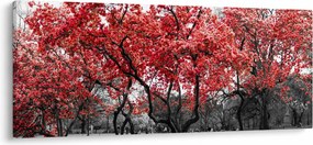 Tablou - Copacii roșii, Central Park, New York (120x50 cm)
