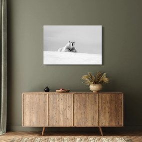 Tablou - Urs polar,alb-negru (90x60 cm)