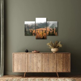 Tablou - Pădure toamna (90x60 cm)
