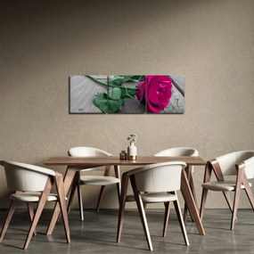 Tablou - Trandafir roz cu tulpina verde (cu ceas) (90x30 cm)