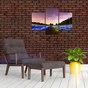 Tablou cu câmp colorat (90x60 cm)