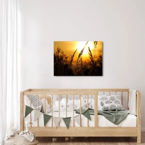 Tablou - Apus de soare (70x50 cm)