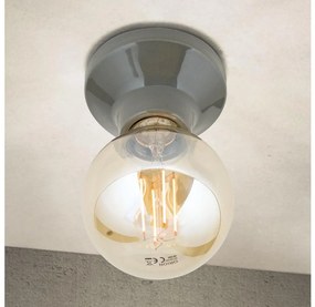 Orion - Plafonieră FROST 1xE27/60W/230V, gri