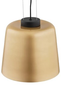 Lustră pe cablu BERKLEY 1xE27/15W/230V Argon 4690