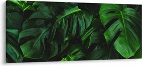 Tablou cu frunze Monstery (120x50 cm)