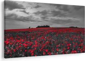 Tablou cu maci (90x60 cm)
