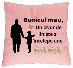 Perna Decorativa pentru Bunicul 6, 40x40 cm, Roz, Husa Detasabila, Burduf