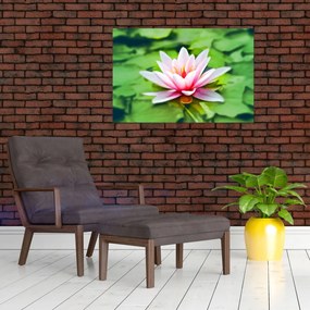Tablou - Nuferi pe apă (90x60 cm)