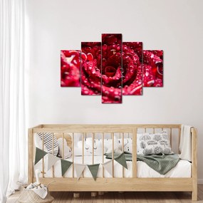 Tablou cu floarea trandafirului roșu (150x105 cm)