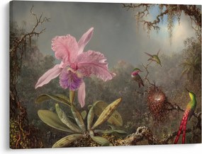 Tablou - Martin Johnson Heade, Cattleya Orchid and Three Hummingbirds, reproducere (70x50 cm)